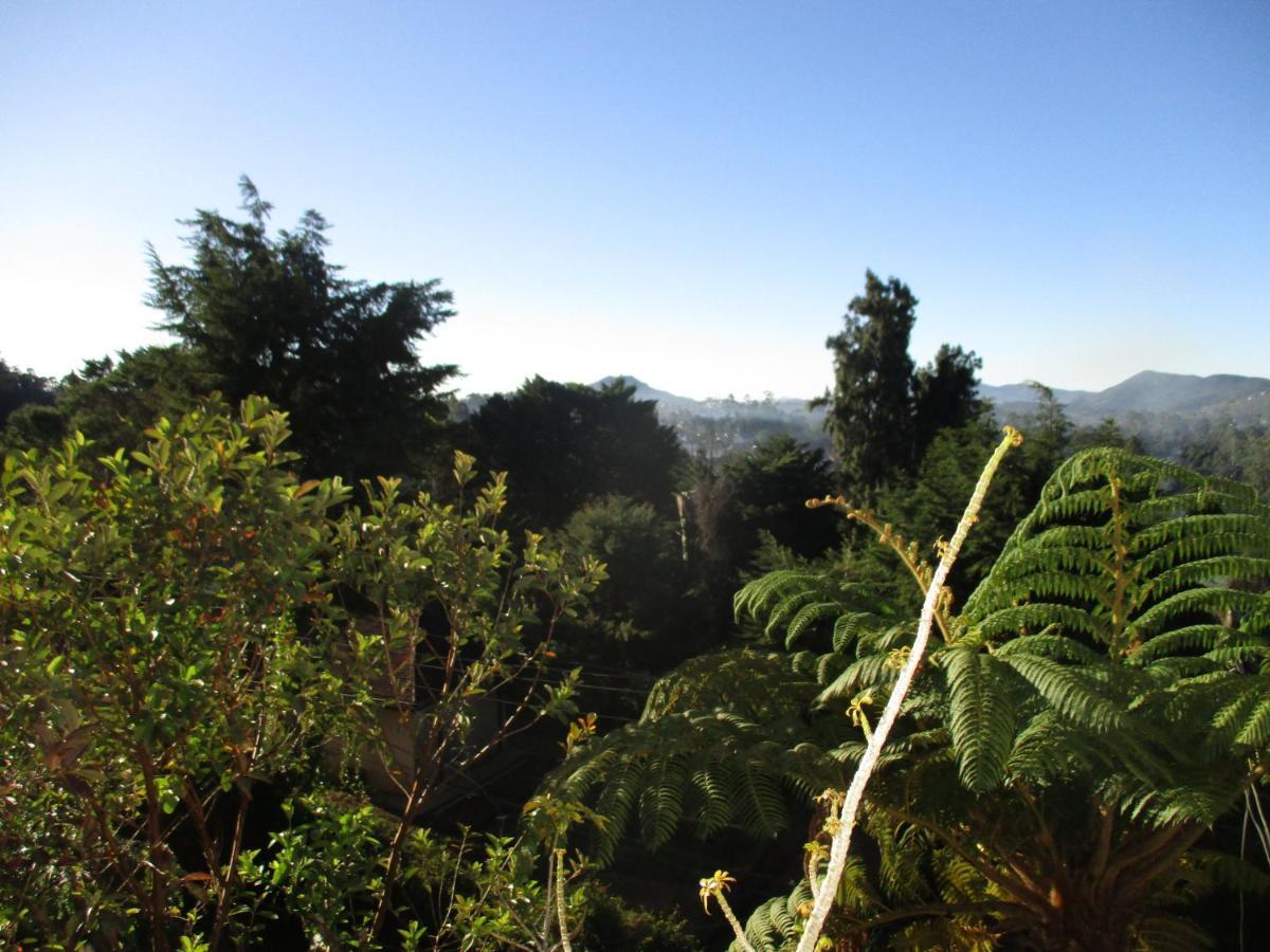 Redwood Homestay Nuwara Eliya Exterior photo